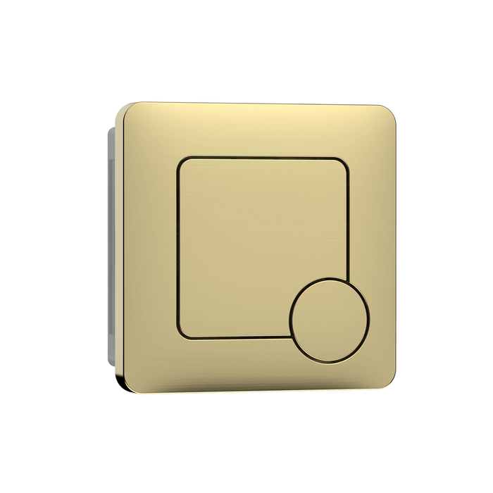 Dual Flush  Square Push Button Flush Plate - Brushed Brass