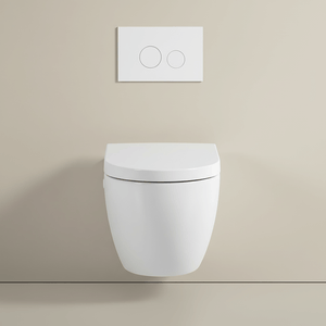 Ekora Rimless Wall Hung Round Toilet Pan