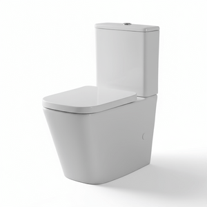 Ekora Rimless Close Coupled Flush-to-Wall Square Toilet