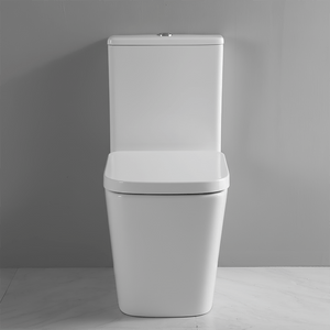 Ekora Rimless Close Coupled Flush-to-Wall Square Toilet