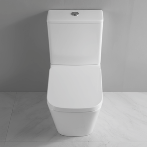 Ekora Rimless Close Coupled Flush-to-Wall Square Toilet