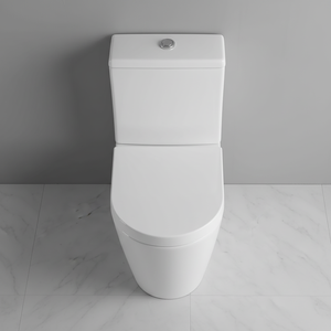 Ekora Rimless Close Coupled Flush-to-Wall Round Toilet