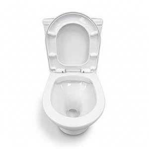 Ekora Rimless Close Coupled Flush-to-Wall Round Toilet