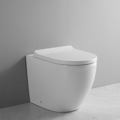 Ekora Rimless Back To Wall Round Toilet Pan