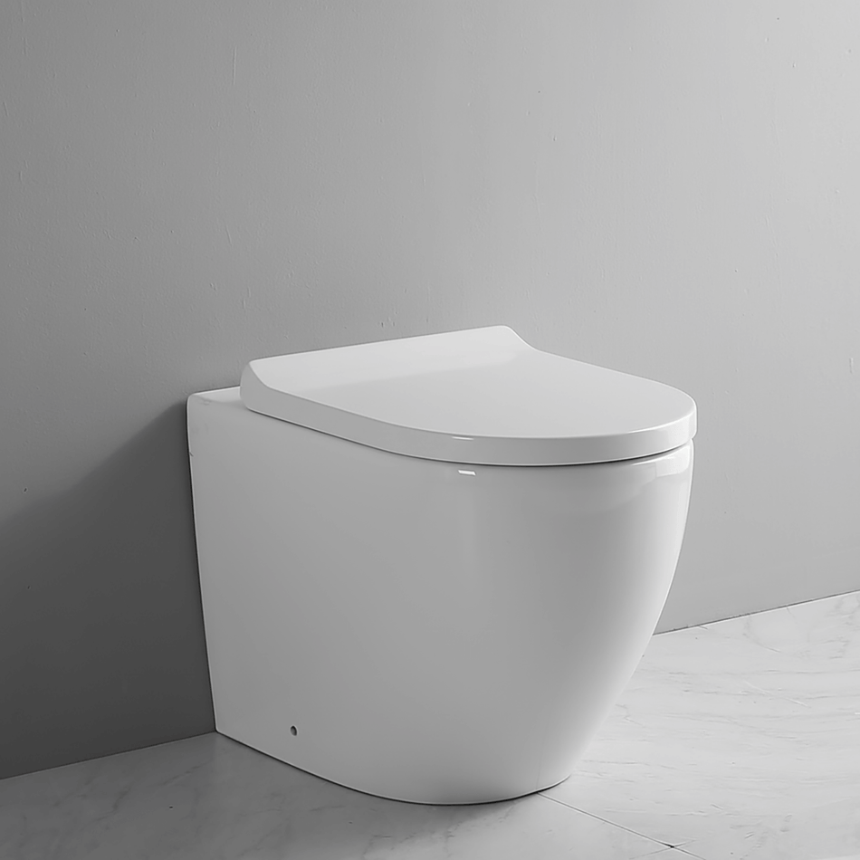 Ekora Rimless Back To Wall Round Toilet Pan