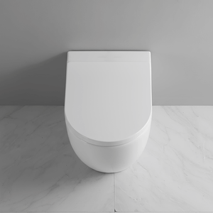 Ekora Rimless Back To Wall Round Toilet Pan